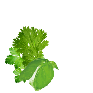 Caucasian Herbs Conent Pl