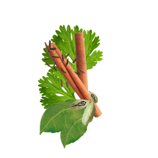 Garam Masala Content Pl
