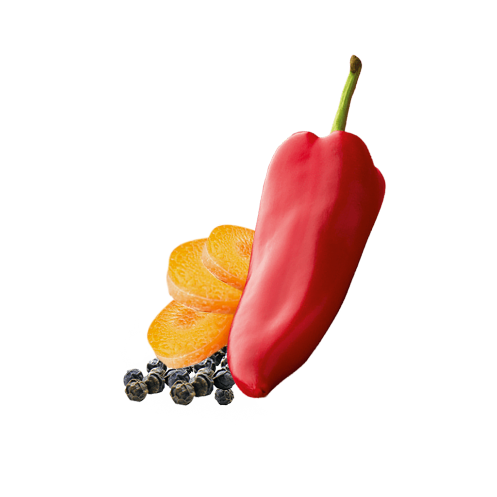 Pepper Herb Spice Mix Conent Pl