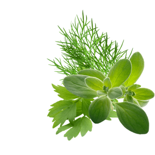 Transylvanian Herbs Content Pl