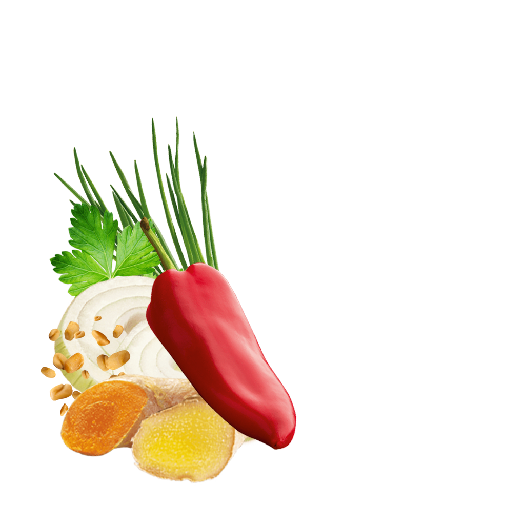 Detail Mango