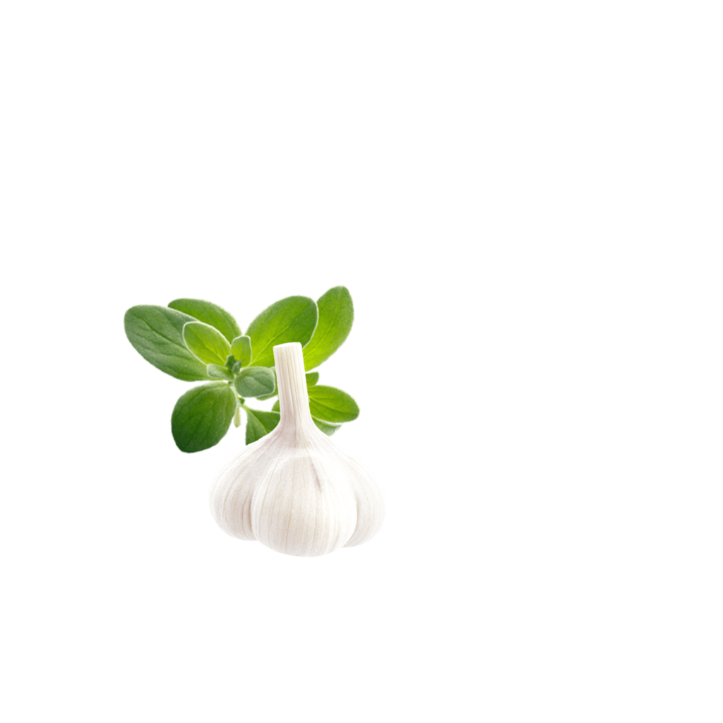 Crispypoh Garlic Content